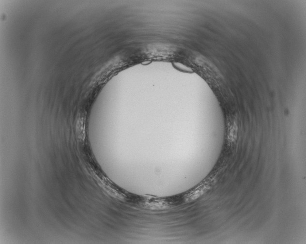 X0000081580666200702051240