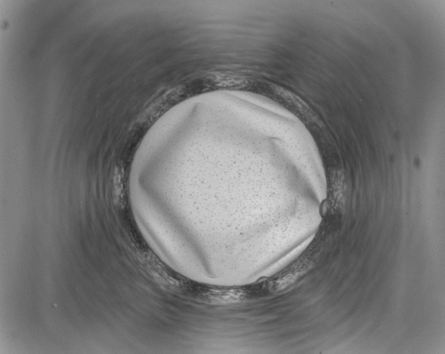 X0000081580667200702051240