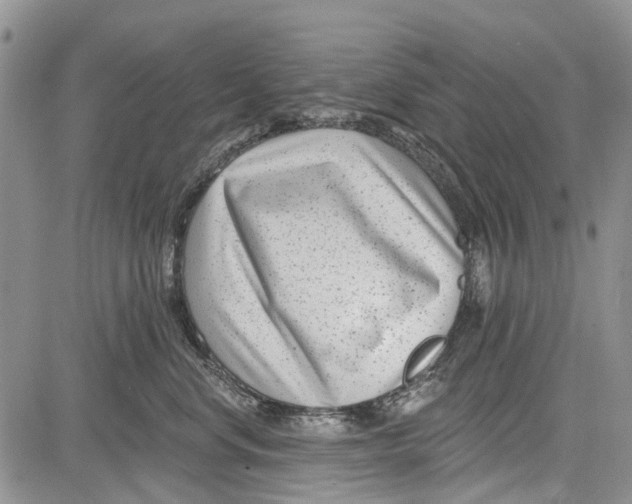 X0000081580668200702051240