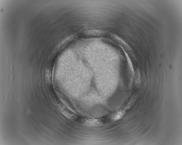 X0000081580669200702051240