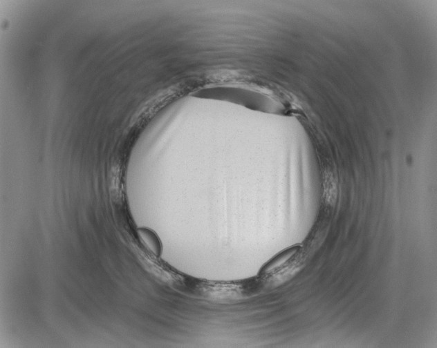 X0000081580670200702051240