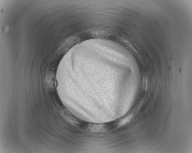 X0000081580671200702051240