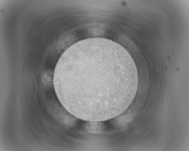 X0000081580672200702051241