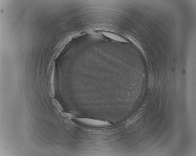 X0000081580673200702051240