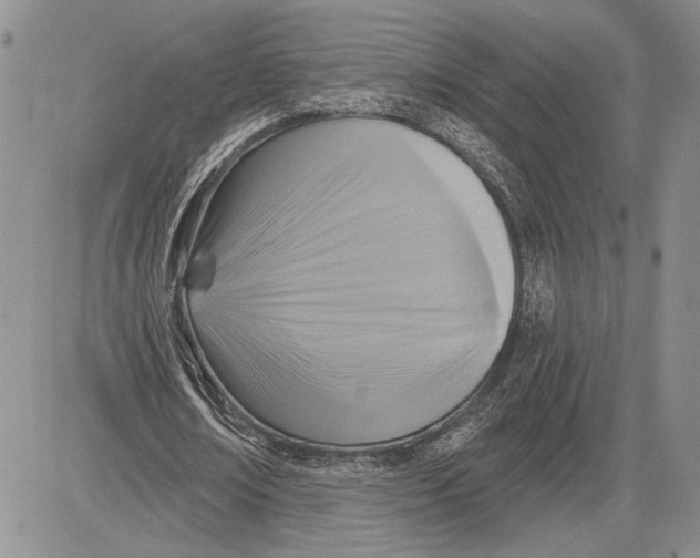 X0000081580674200702051240