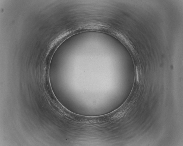 X0000081580675200702051240