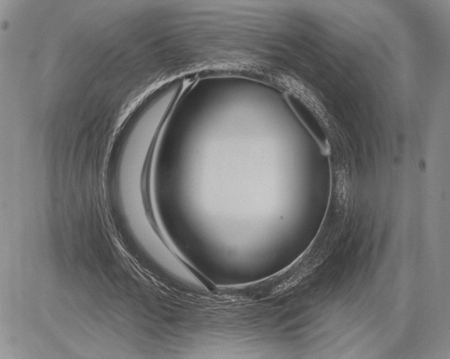 X0000081580676200702051240