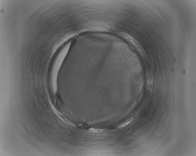 X0000081580677200702051240