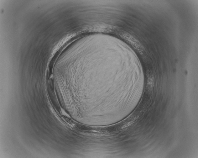 X0000081580678200702051240