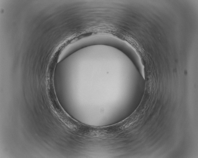 X0000081580680200702051240