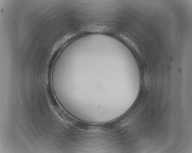 X0000081580682200702051240