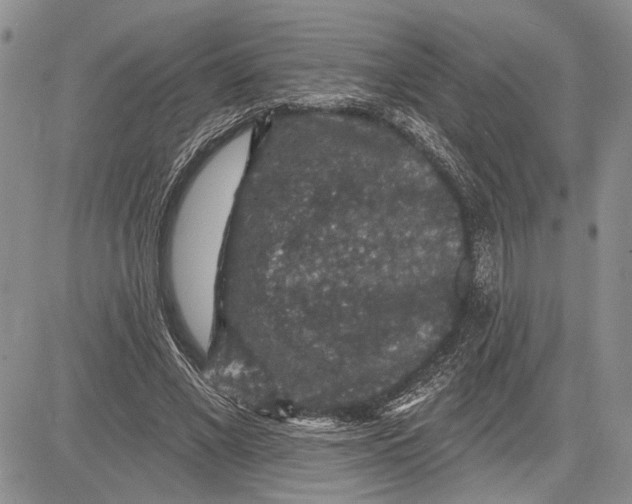 X0000081580685200702051240