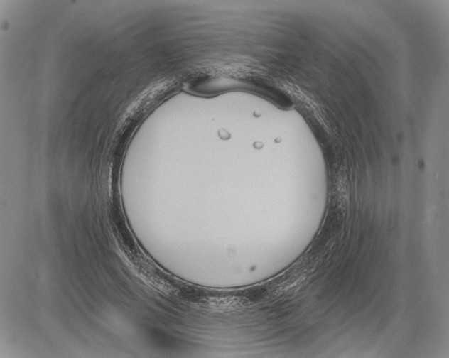 X0000081580686200702051240