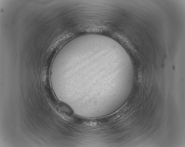 X0000081580687200702051240