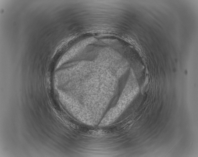 X0000081580688200702051239