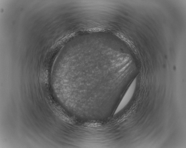 X0000081580689200702051239