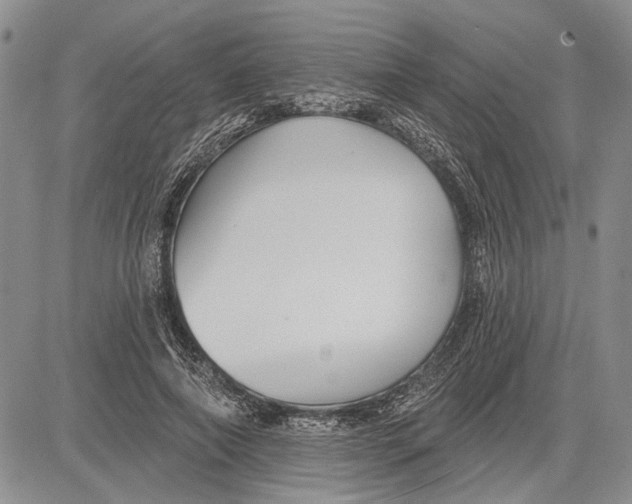 X0000081580690200702051239