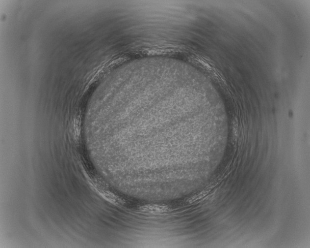 X0000081580691200702051239