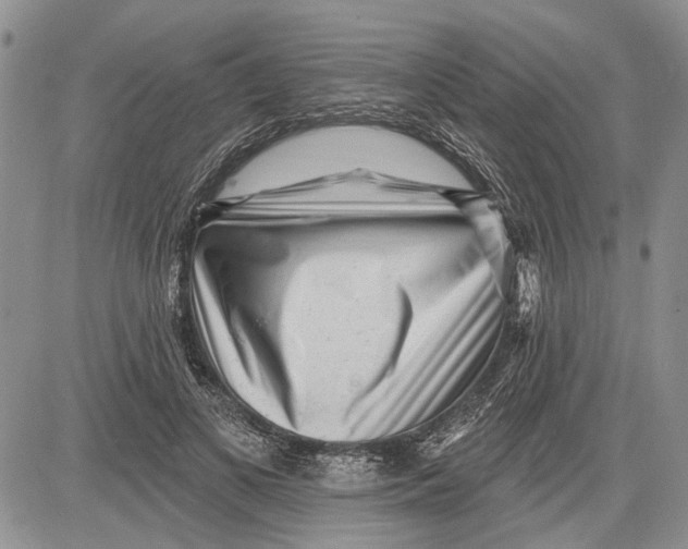 X0000081580693200702051239