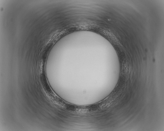 X0000081580694200702051239