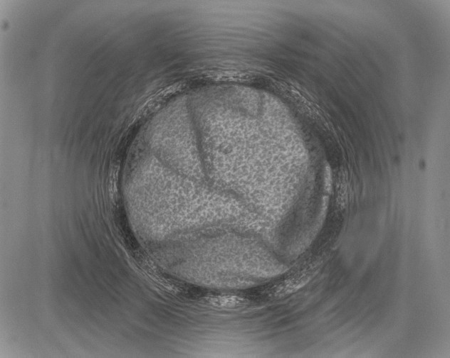 X0000081580695200702051239