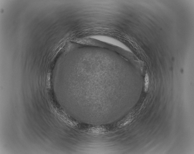 X0000081580696200702051239