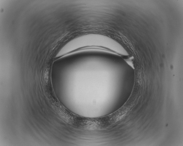 X0000081580697200702051239