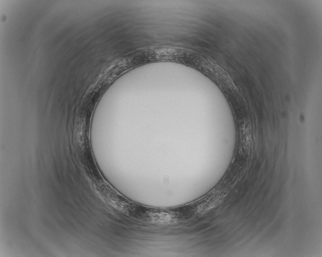 X0000081580698200702051239