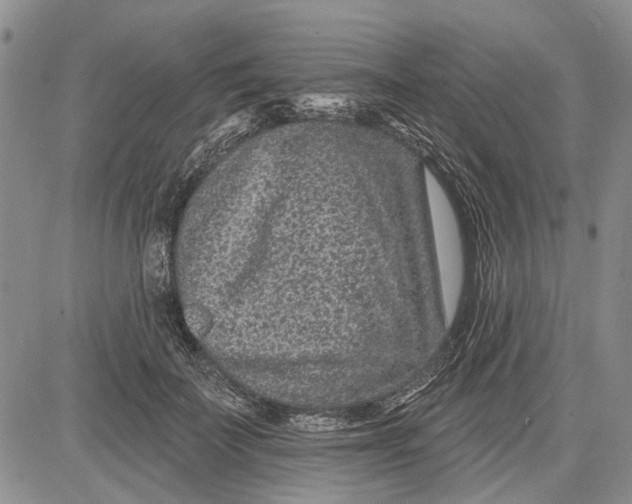 X0000081580699200702051239