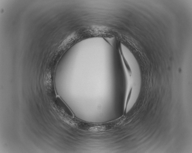 X0000081580700200702051239