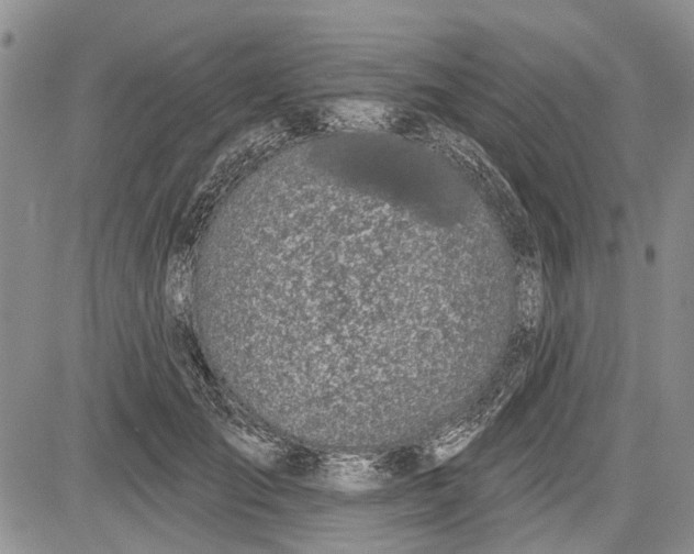 X0000081580701200702051239