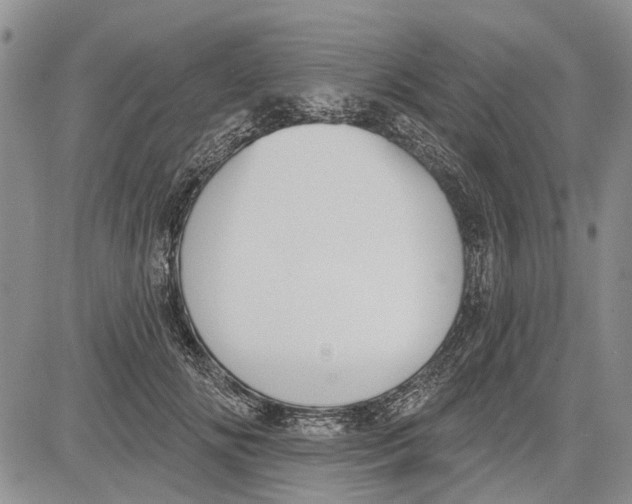 X0000081580702200702051239