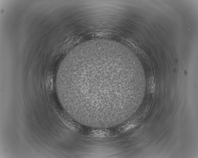 X0000081580703200702051239