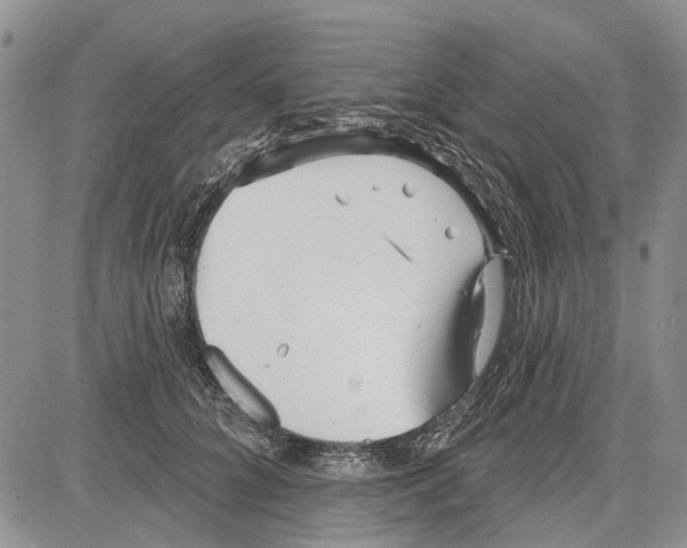 X0000081580704200702051239