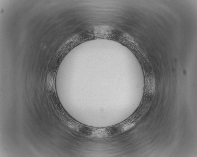 X0000081580705200702051239