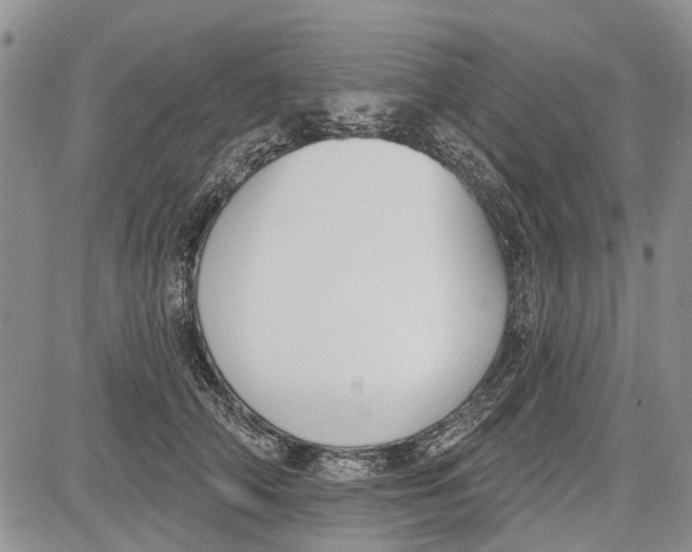 X0000081580706200702051239