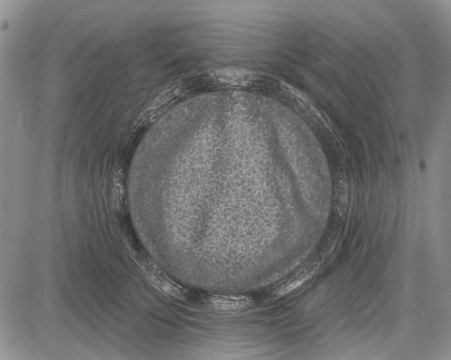 X0000081580707200702051239