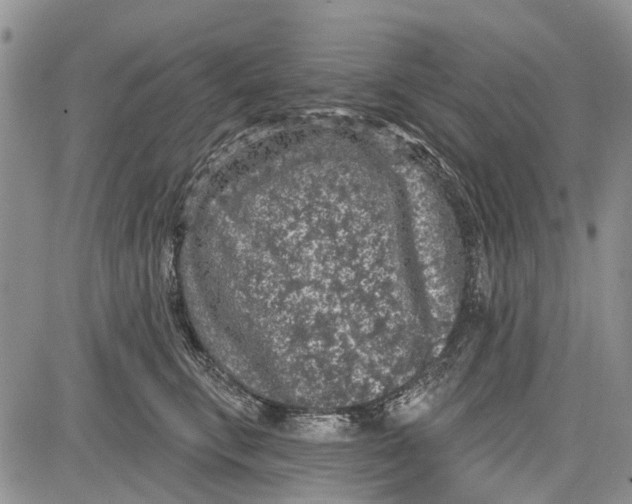 X0000081580711200702051239