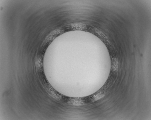 X0000081580713200702051239