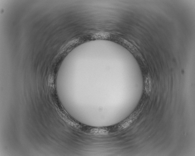 X0000081580714200702051239