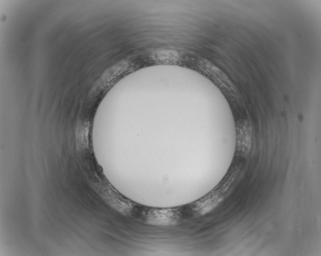 X0000081580717200702051239