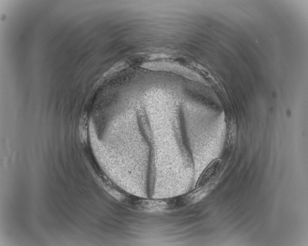 X0000081580719200702051239