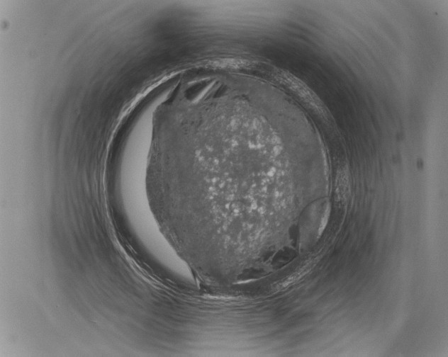 X0000081580722200702051238