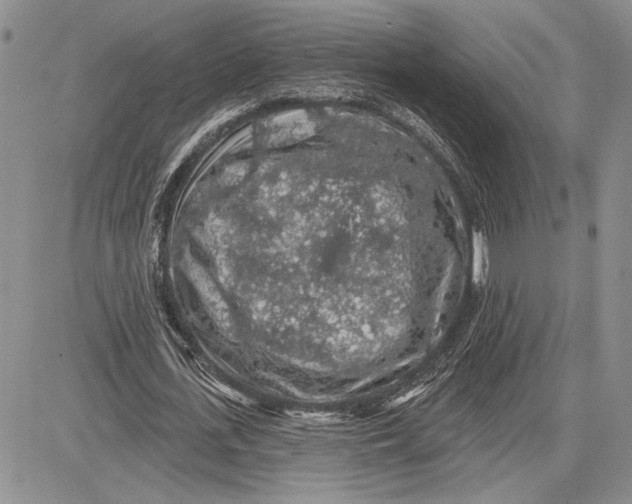 X0000081580723200702051238