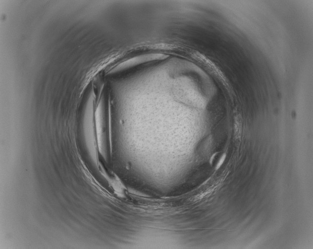 X0000081580725200702051238