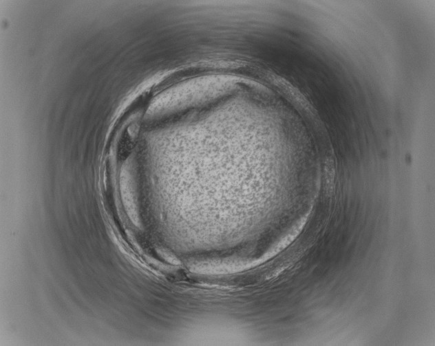 X0000081580726200702051238