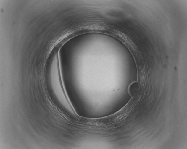 X0000081580727200702051238