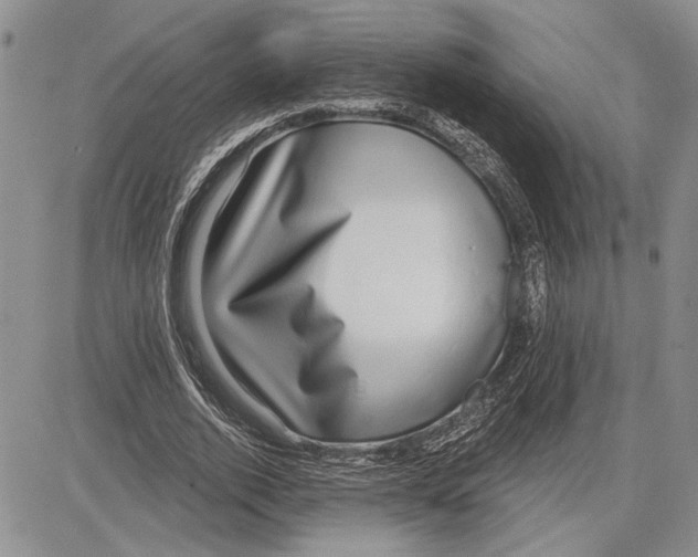 X0000081580728200702051238