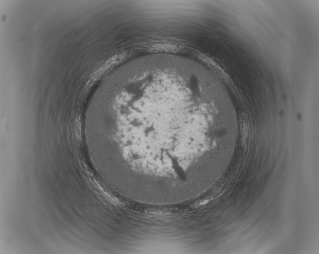 X0000081580729200702051238