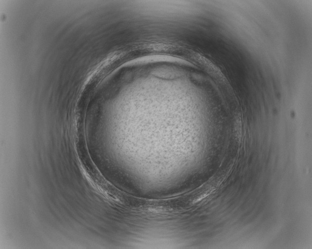 X0000081580730200702051238